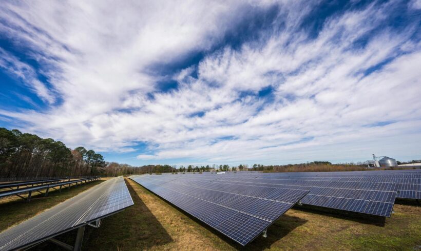 How is the Voluntary Carbon Market doing?