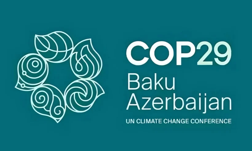 Cop29: voluntary carbon market standards approved