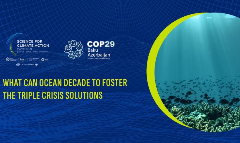 Facing the climate crisis: the central role of marine and coastal ecosystems