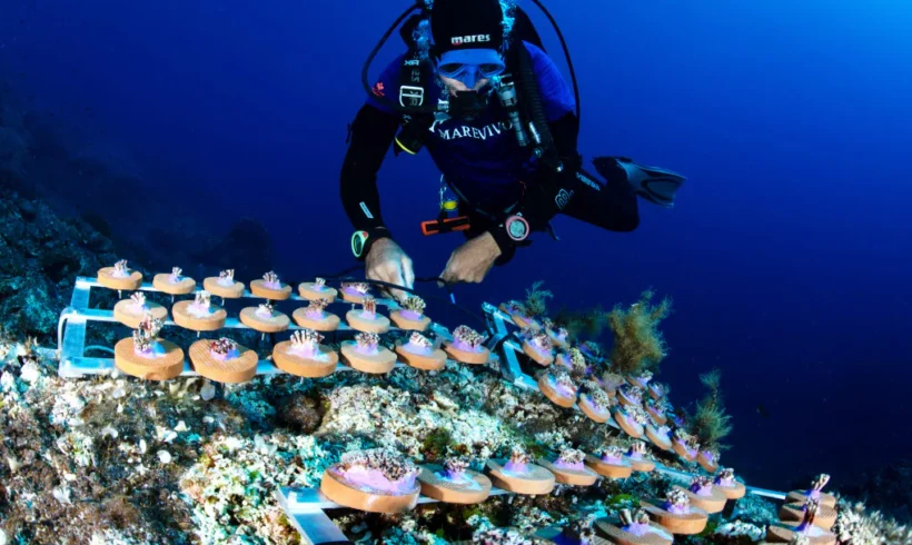 Restoring marine ecosystems: successes, costs and prospects